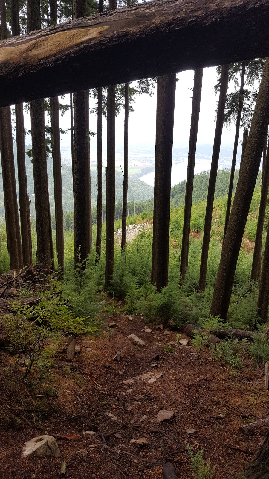 Sumas Mtn Upper Lot | Fraser Valley G, BC V3G 2L3, Canada