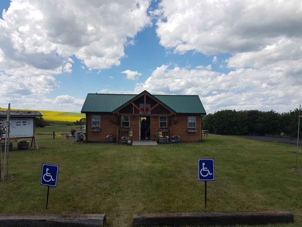 Solstice Berry Farm | 29250 Range Rd 34, Crossfield, AB T0M 0S0, Canada | Phone: (403) 946-4759