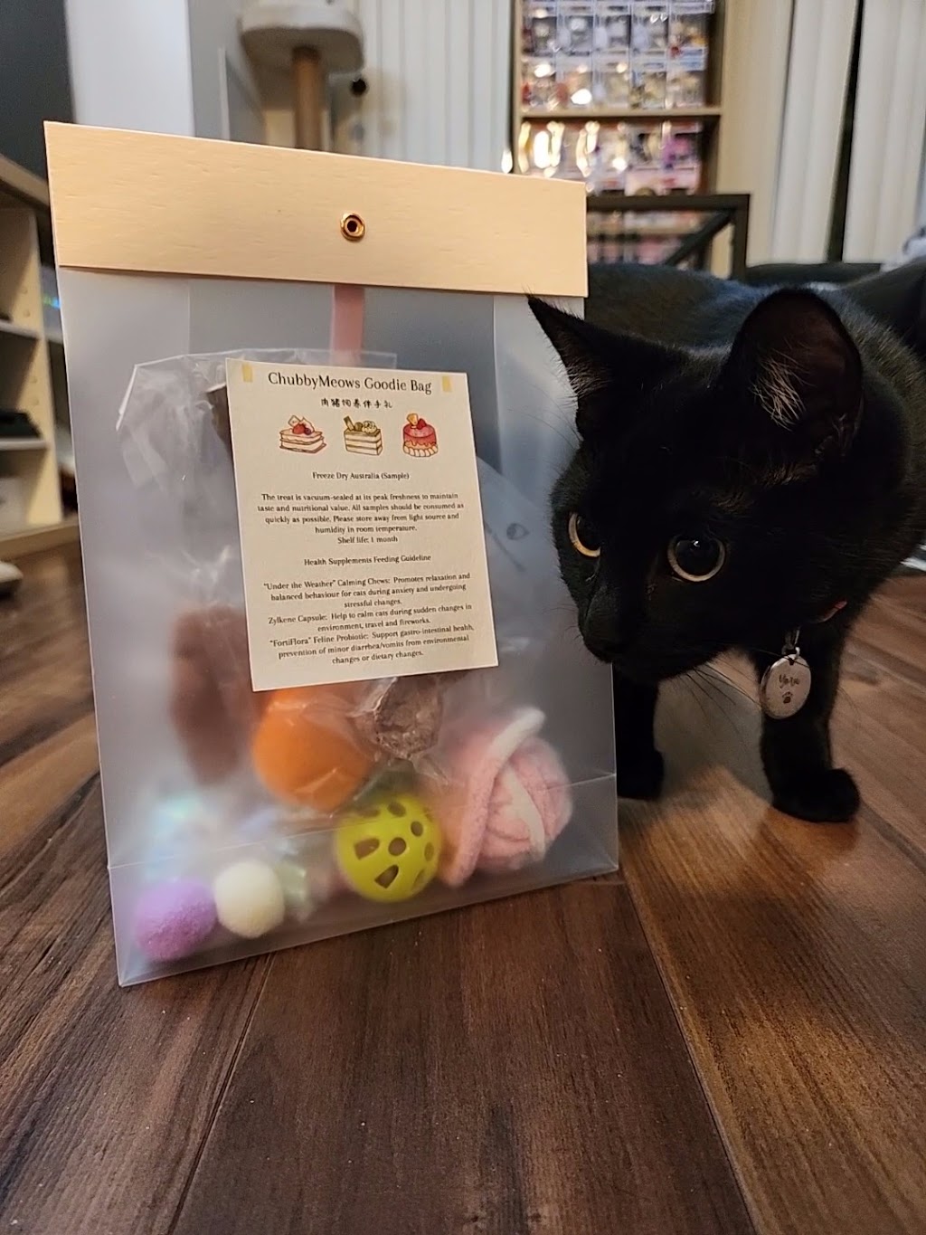 Chubby Meows Cat Hotel | 12285 Yonge St, Richmond Hill, ON L4E 3M7, Canada | Phone: (437) 973-1819