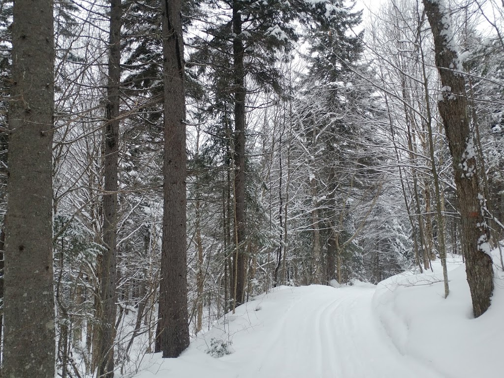 Ski De Fond Charlesbourg | 375 Rue de lAventure, Québec, QC G2M 1N3, Canada | Phone: (418) 849-9054