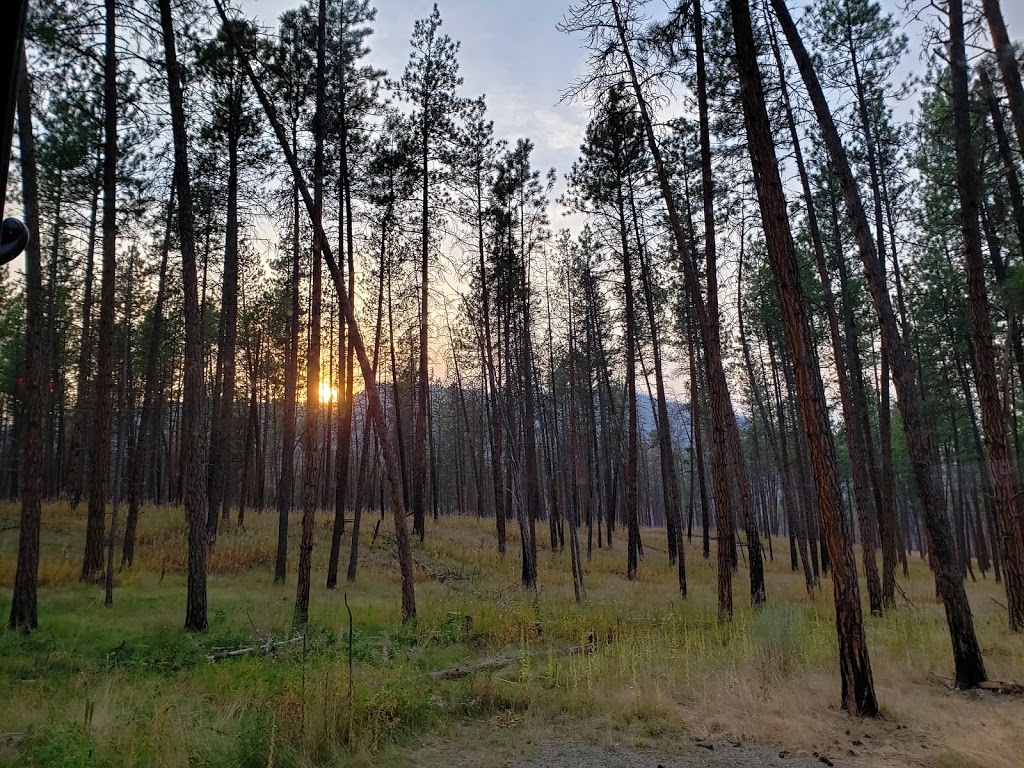 Kettle River Recreation Area | British Columbia 3, Rock Creek, BC V0H 1Y0, Canada | Phone: (250) 548-0076