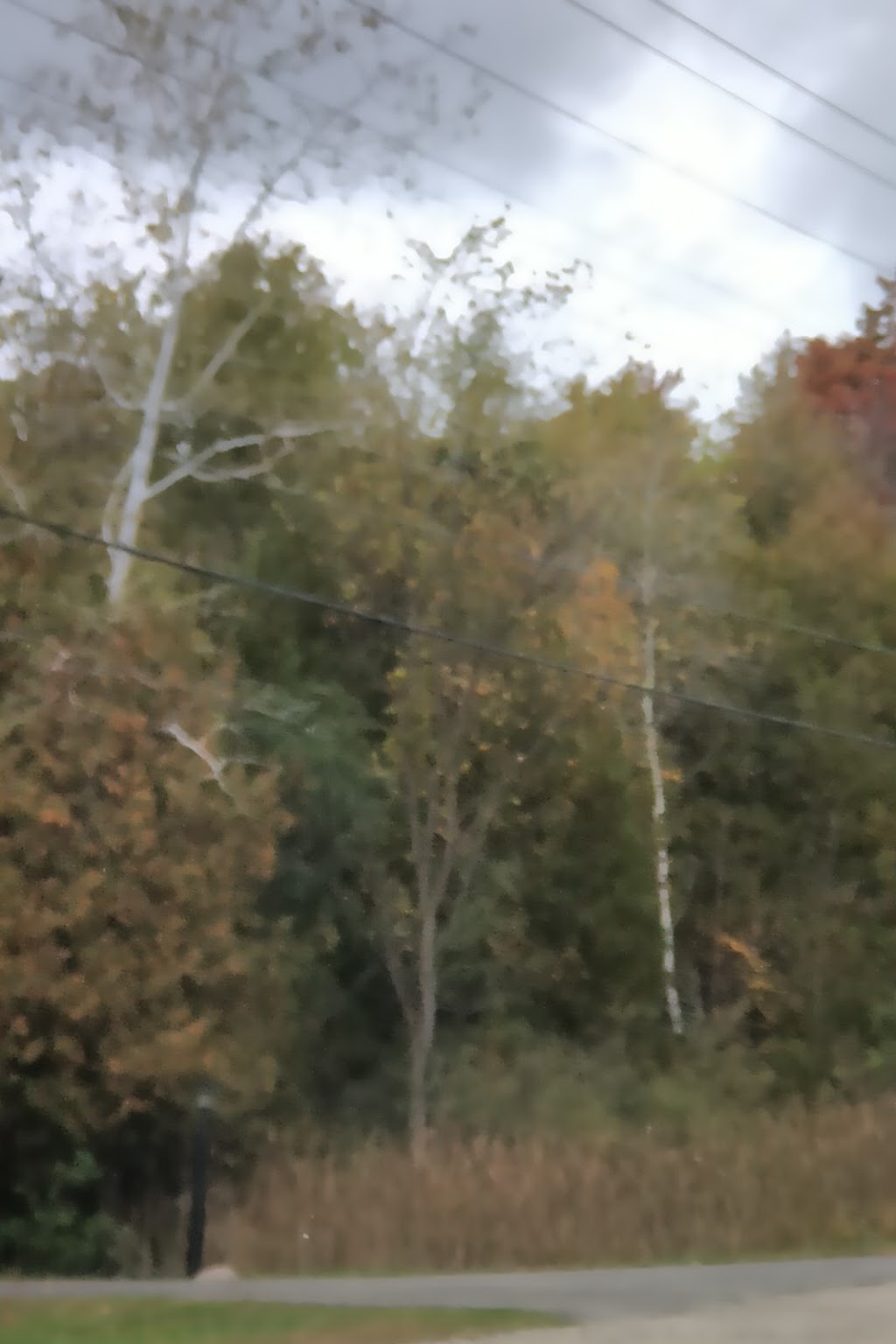 Rural Ontario Institute | 7382 Wellington County Rd 30, Guelph, ON N1H 6J2, Canada | Phone: (519) 826-4204