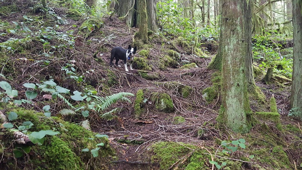 Homesite Creek / Secret Cove Recreation Area | 9844 Sunshine Coast Hwy, Halfmoon Bay, BC V0N 1Y2, Canada | Phone: (604) 883-9307