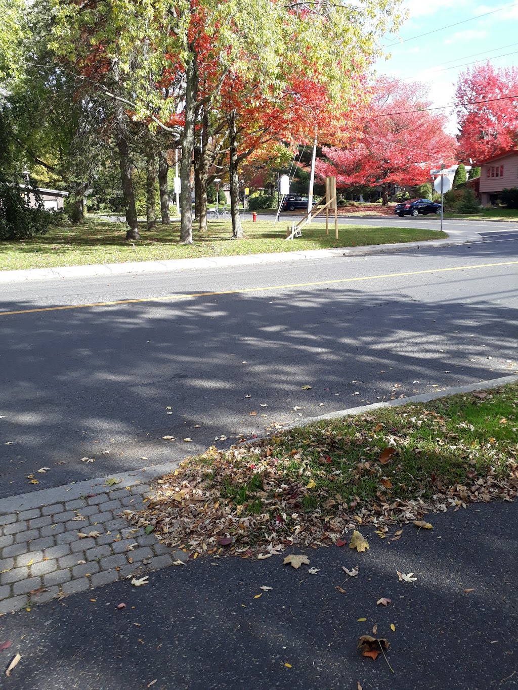 Parc des Bouleaux | 1680 Rue du Parc, Saint-Bruno-de-Montarville, QC J3V 4L9, Canada
