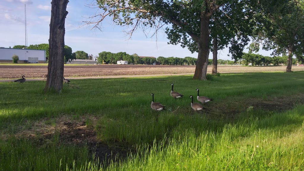 Prairie Urban Farm | 118 St NW, Edmonton, AB T6H 2V8, Canada | Phone: (780) 492-4598