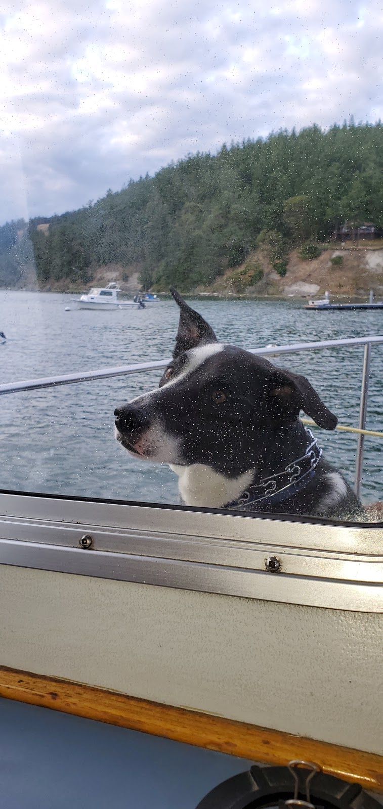 Paraclete Charters Service Inc | 2011 Skyline Way, Anacortes, WA 98221, USA | Phone: (360) 420-5187