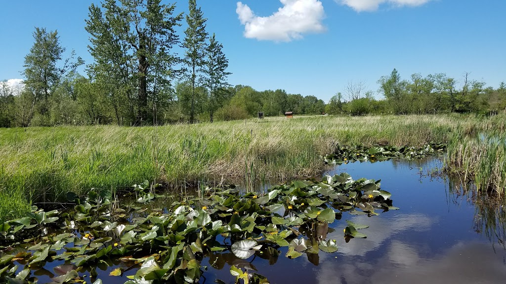 Tennant Lake Park | Ferndale, WA 98248, USA | Phone: (360) 384-4723