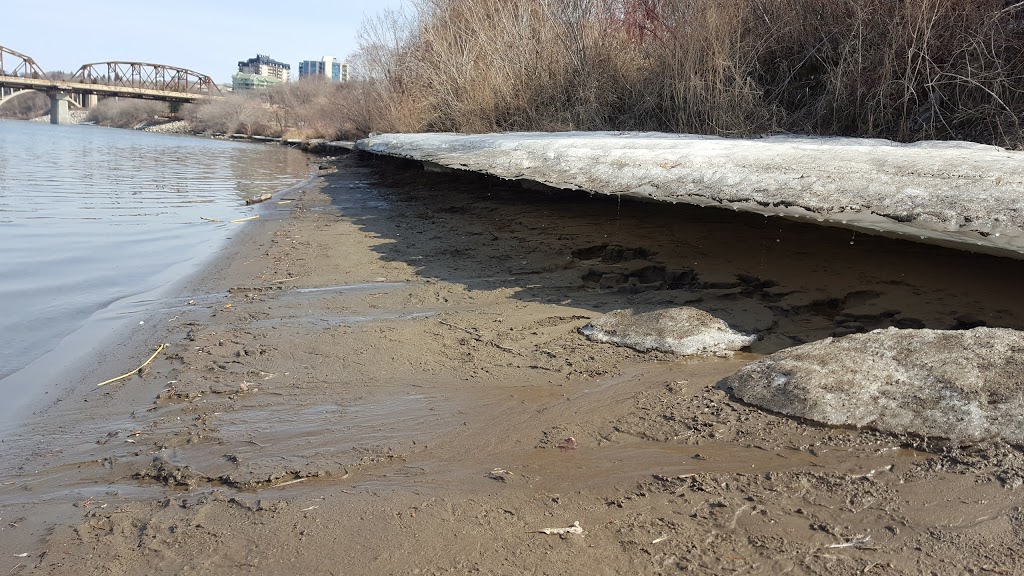River Landing East | Spadina Crescent E, Saskatoon, SK S7M 1M8, Canada | Phone: (306) 242-7111