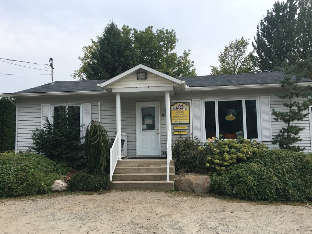 Clinique Vétérinaire Papineauville Inc | 105 Rue Papineau, Papineauville, QC J0V 1R0, Canada | Phone: (819) 427-1111