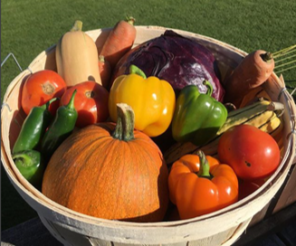 Homegrown Food Basket | 192 Josephine St, Wingham, ON N0G 2W0, Canada | Phone: (519) 357-1003