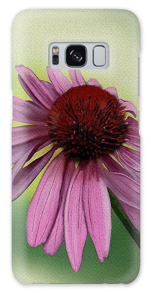 Art By Heidi Hirtle | Aberdeen Rd, Bridgewater, NS B4V 2T1, Canada | Phone: (902) 521-6837