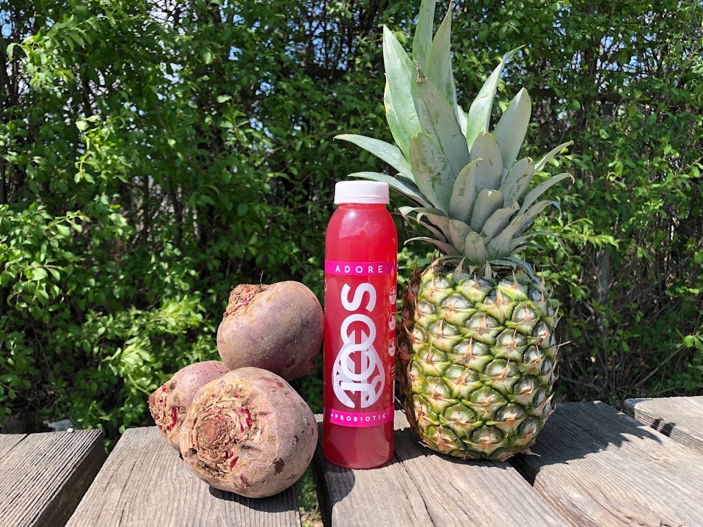 JOOS Up Your Life (Formerly Urban Juice Press) | 1169 Parisien St, Gloucester, ON K1B 4W4, Canada | Phone: (613) 746-6662