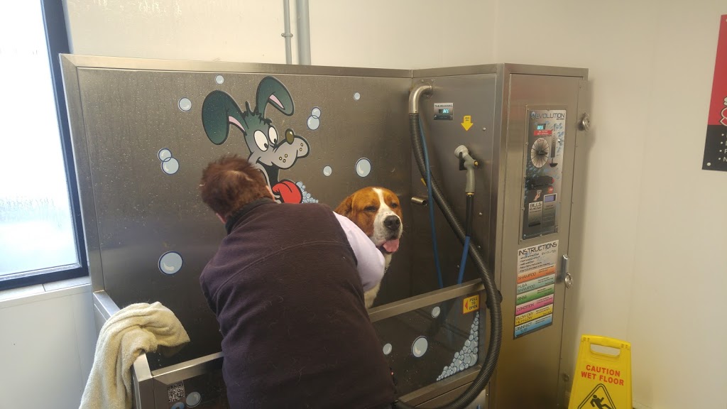 Suds and Pups | 0A2, 6733 W Coast Rd, Sooke, BC V9Z 0P6, Canada | Phone: (250) 704-6010