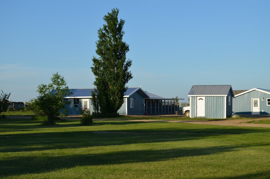 Paws Claws N Tails Kennel | Baildon Farm Road, MAIL TO: P.O.B. 691 BUSHELL PARK,, Baildon, SK S0H 0N0, Canada | Phone: (306) 693-0310