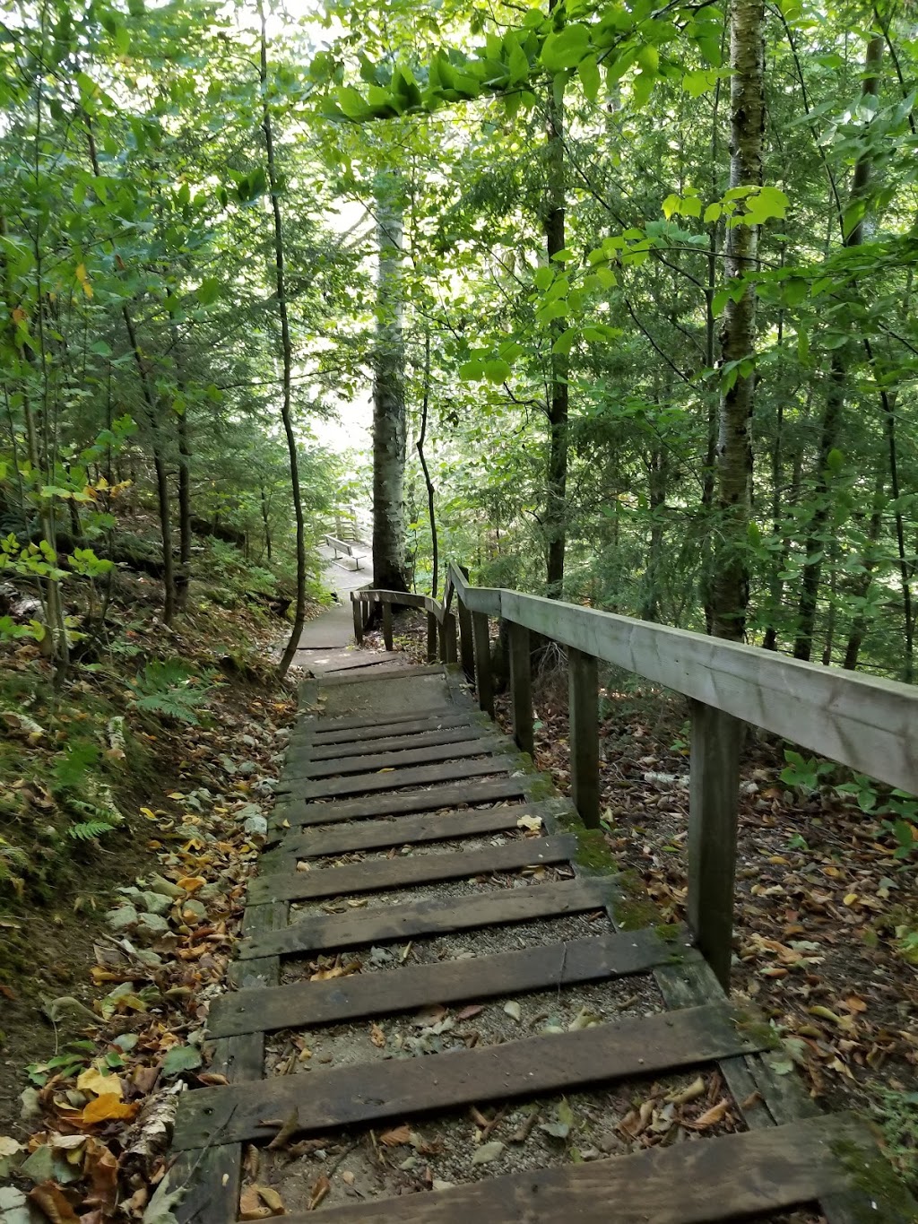 Deer Campground | Tiny, ON L9M 1R2, Canada | Phone: (705) 549-2231