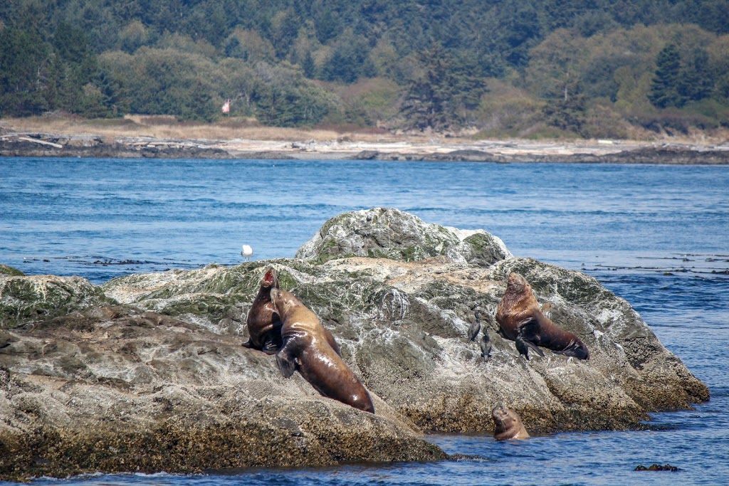 TerraTrek Bicycle Tours | 40 Spring St, Friday Harbor, WA 98250, USA | Phone: (360) 378-4223