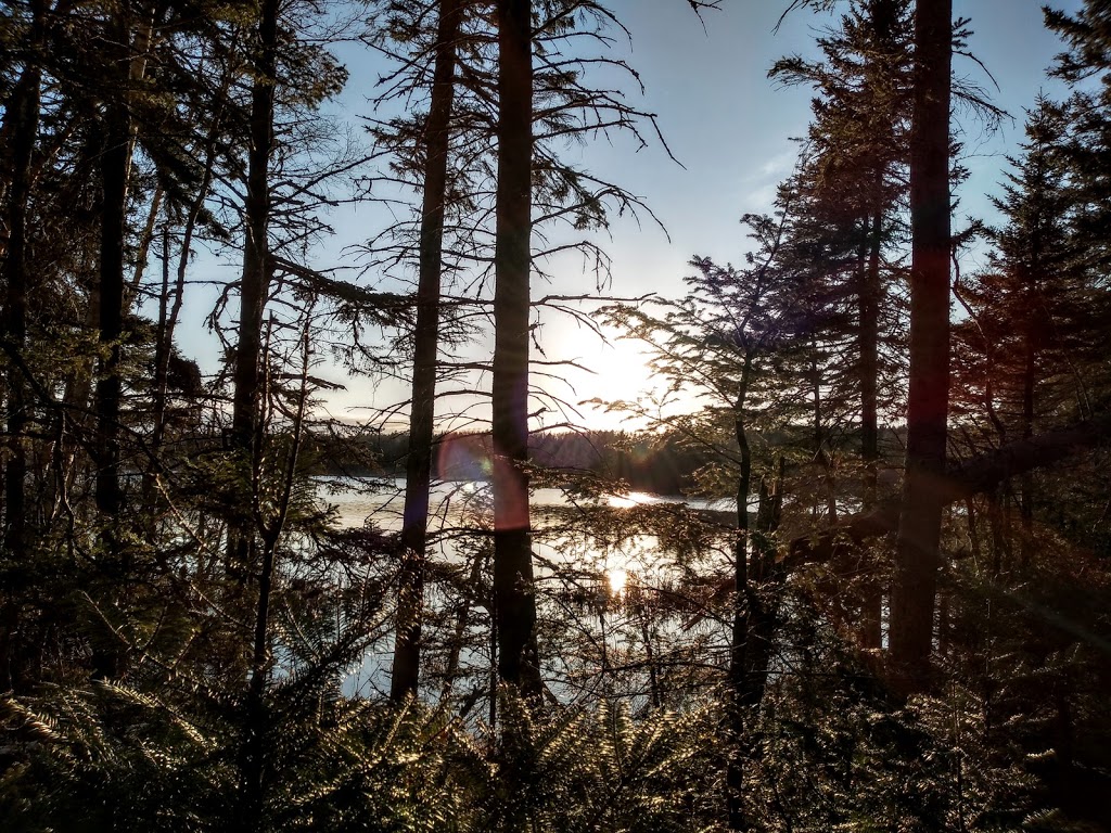 Amherst Point Migratory Bird Sanctuary | QPRX+MW, Nappan, NS B0L 1C0, Canada | Phone: (800) 668-6767