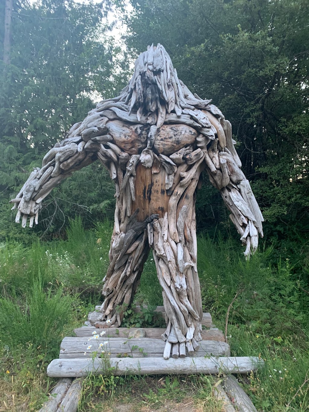 Bigfoot The Guardian | 4289 Barnjum Rd, Sahtlam, BC V9L 6G5, Canada | Phone: (250) 202-5520