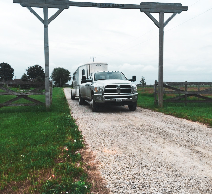 Westfall Horse Co. | 15149 Zone Centre Line, Bothwell, ON N0P 1C0, Canada | Phone: (519) 401-8939