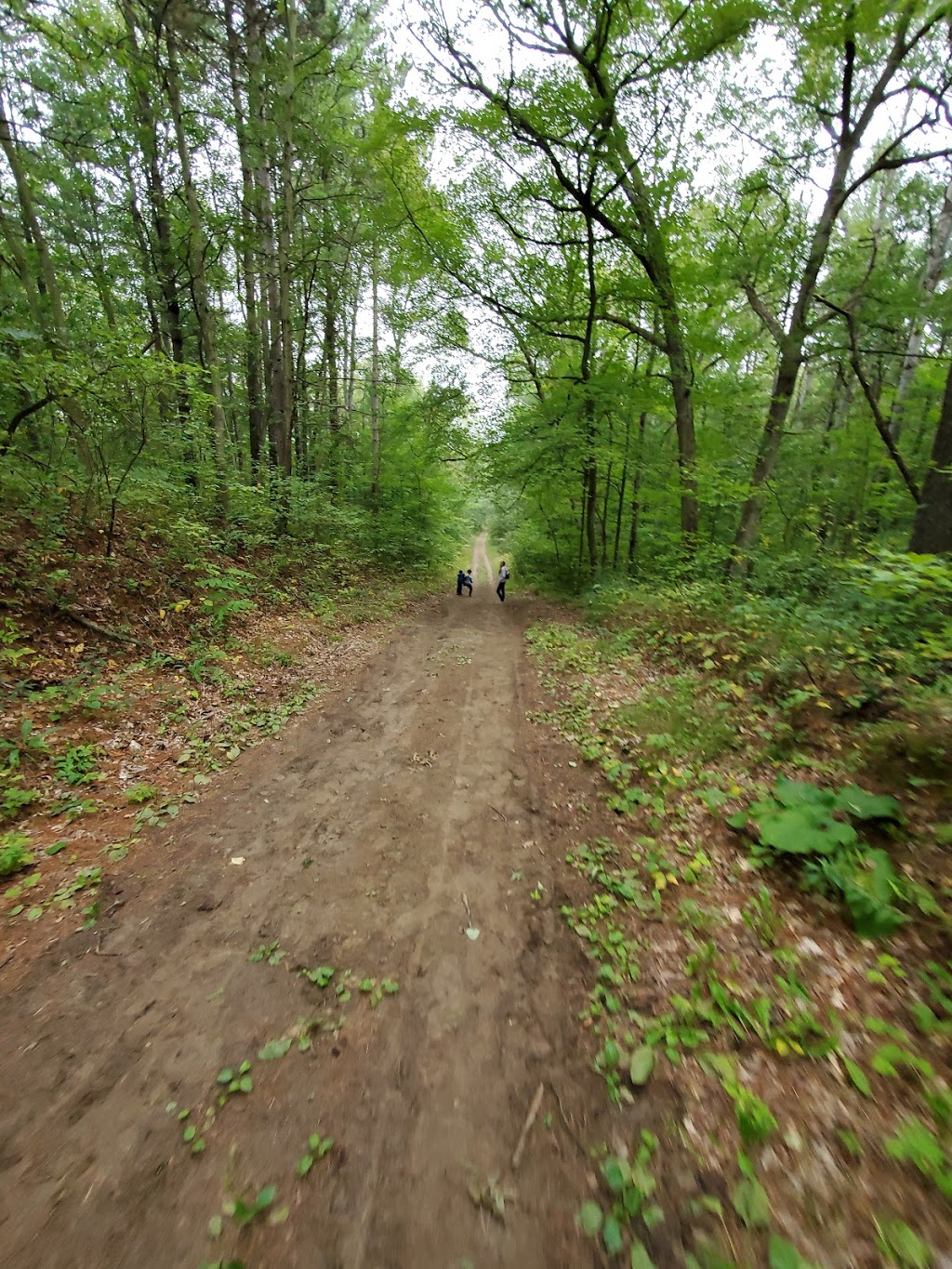 Woodland Trailhead, Northumberland County Forest | 199-101 Woodland Rd, Roseneath, ON K0K 2X0, Canada | Phone: (905) 372-3329 ext. 2303