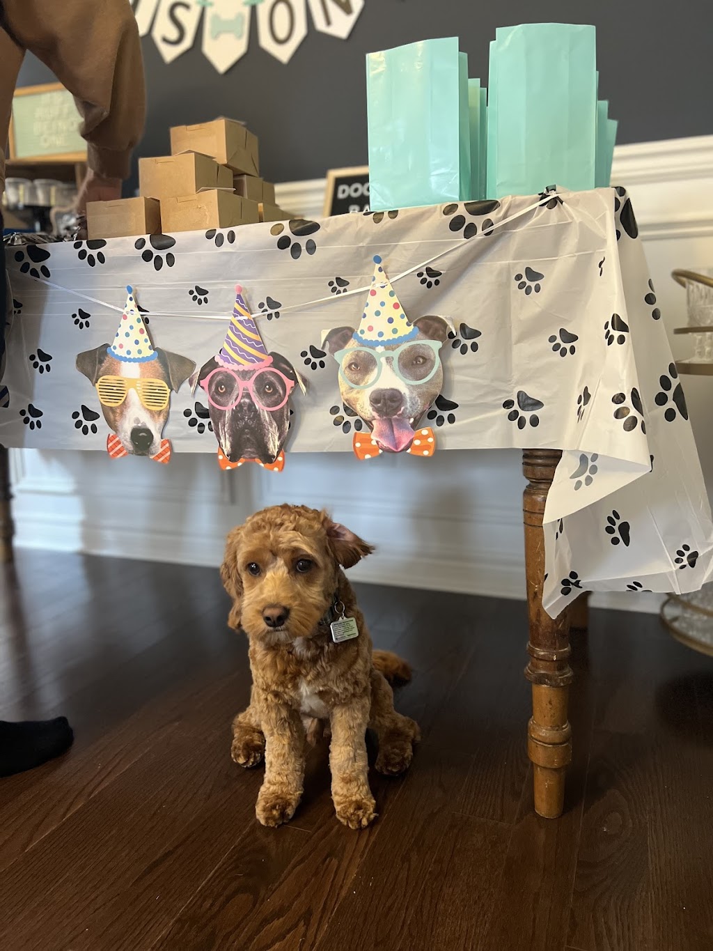 Barkers Dozen | 7 Stuckey Ln, East Luther Grand Valley, ON L9W 6W4, Canada | Phone: (289) 924-0927