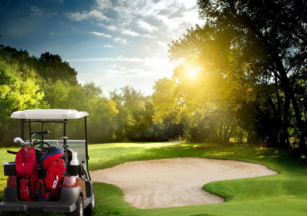 Golf Worldwide | 1700 Finch Ave E #1213, North York, ON M2J 4X8, Canada | Phone: (647) 667-7689