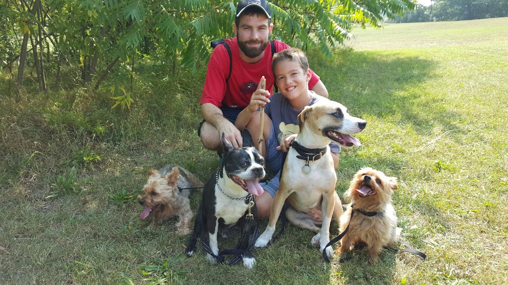 Balanced K9 Living | 623577 North Town Line W, Ingersoll, ON N5C 3J6, Canada | Phone: (519) 788-4701