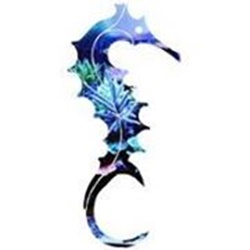 Sealife Central | 3392 Wonderland Rd S Building 9 Unit 11, London, ON N6L 1A6, Canada | Phone: (519) 652-6100
