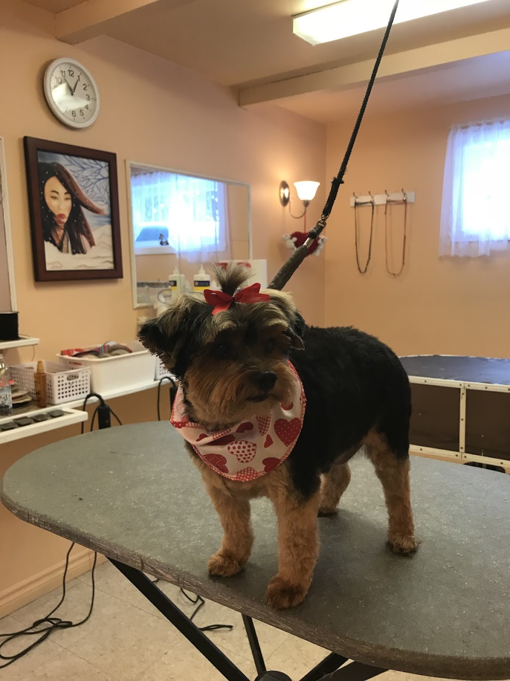 le Studio de Beauté Canine de Boucherville | 375 Bd de Mortagne, Boucherville, QC J4B 1B7, Canada | Phone: (450) 655-6543
