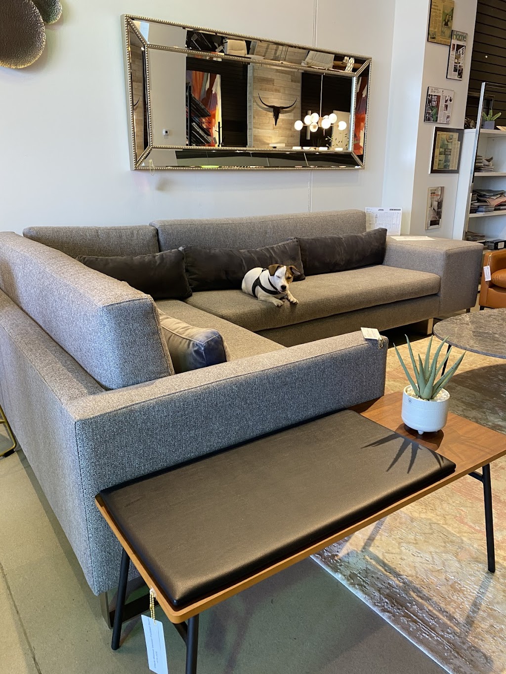 Maison Mikaza: Magasin de Meubles Quartier Dix30 Brossard | 8440 Boulevard Leduc #30, Brossard, QC J4Y 0A5, Canada | Phone: (514) 225-7627