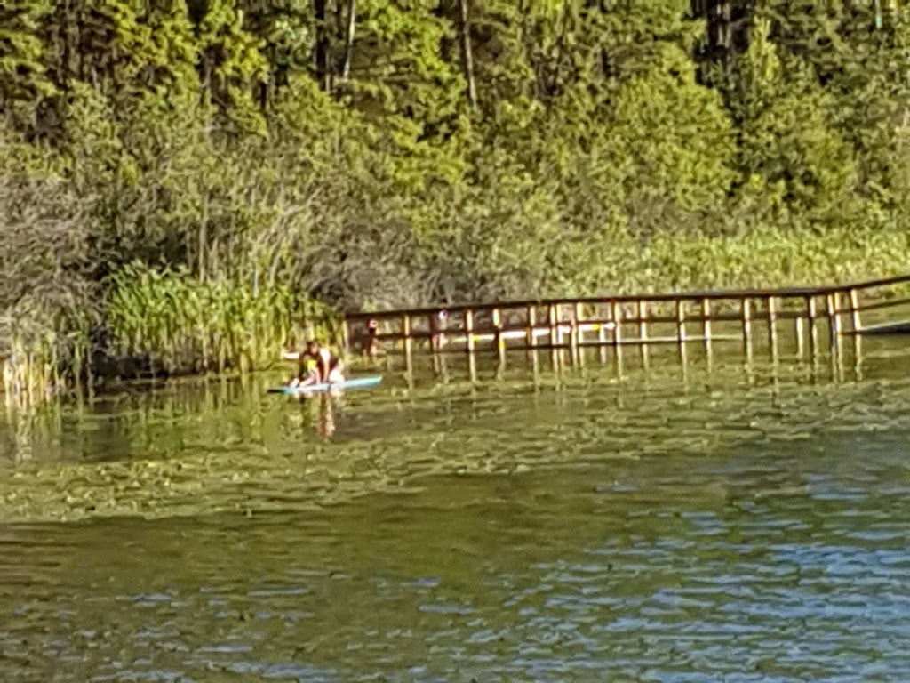 Jimsmith Lake Provincial Park | Hwy 3/95, Cranbrook, BC V1C, Canada | Phone: (250) 422-3003
