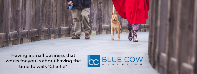 Blue Cow Marketing | 3066 Lovett Rd, Coldbrook, NS B4R 1A4, Canada | Phone: (902) 300-3030