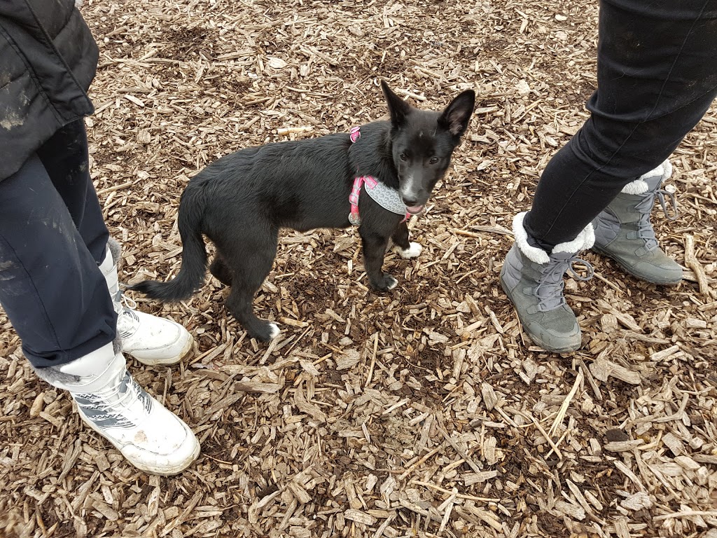 Stoney Creek Off-Leash Dog Park | 1343 Adelaide St N, London, ON N5X 1K1, Canada | Phone: (519) 661-2500 ext. 4570