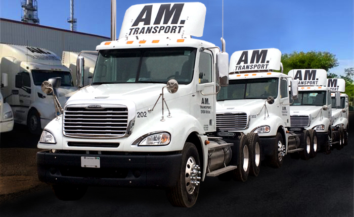 AM Transport Inc | 135 Watline Ave, Mississauga, ON L4Z 1P2, Canada | Phone: (905) 624-5728