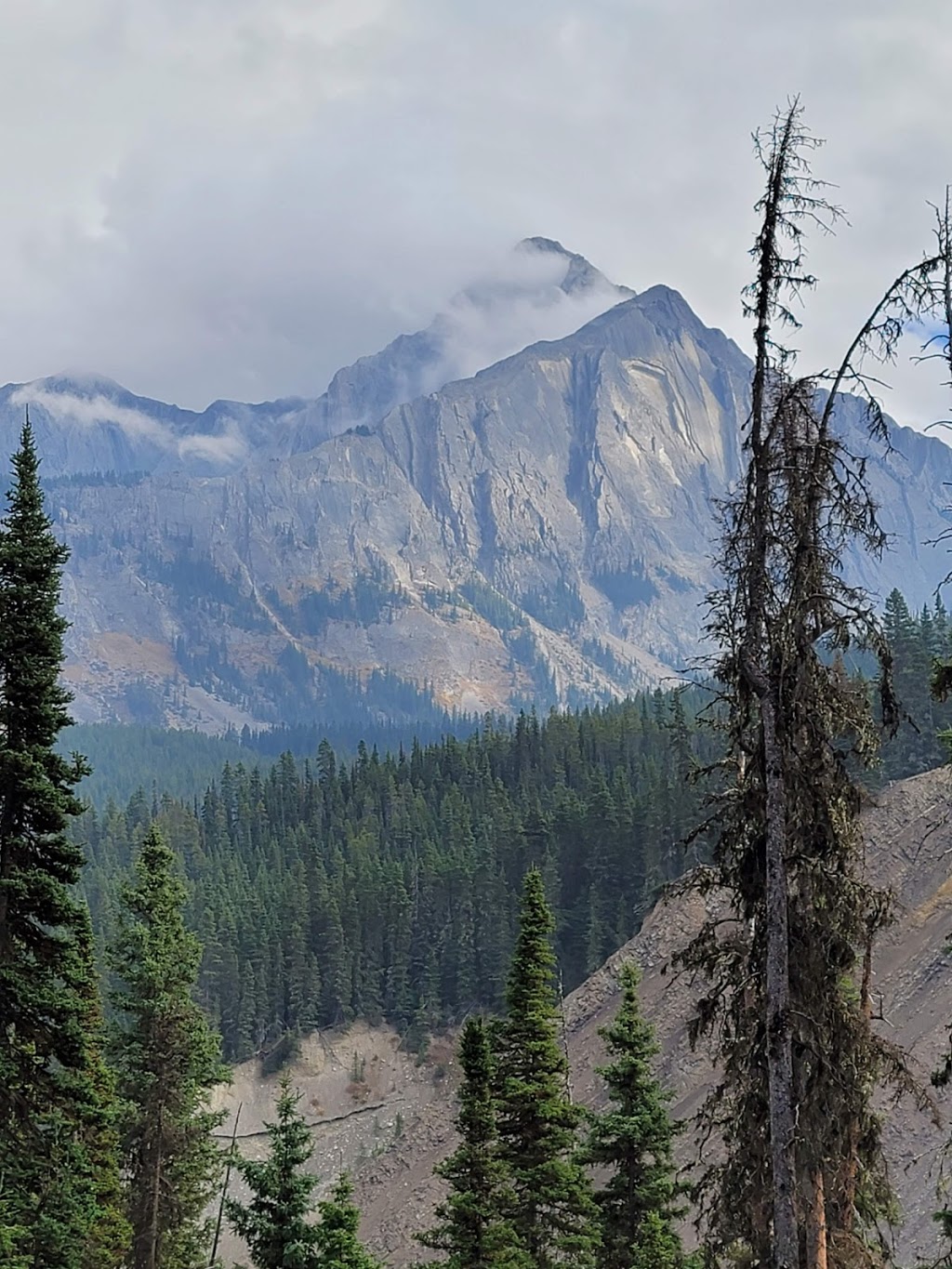 Johnstone Creek Provincial Park | Johnstone Creek Camp Rd, Rock Creek, BC V0H 1Y0, Canada | Phone: (250) 584-9025