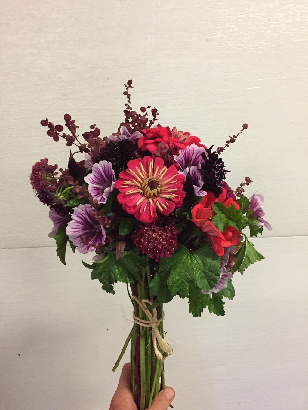 Berrys Blooms | 5216 NS-332, Middle LaHave, NS B4V 3L9, Canada | Phone: (902) 766-4534