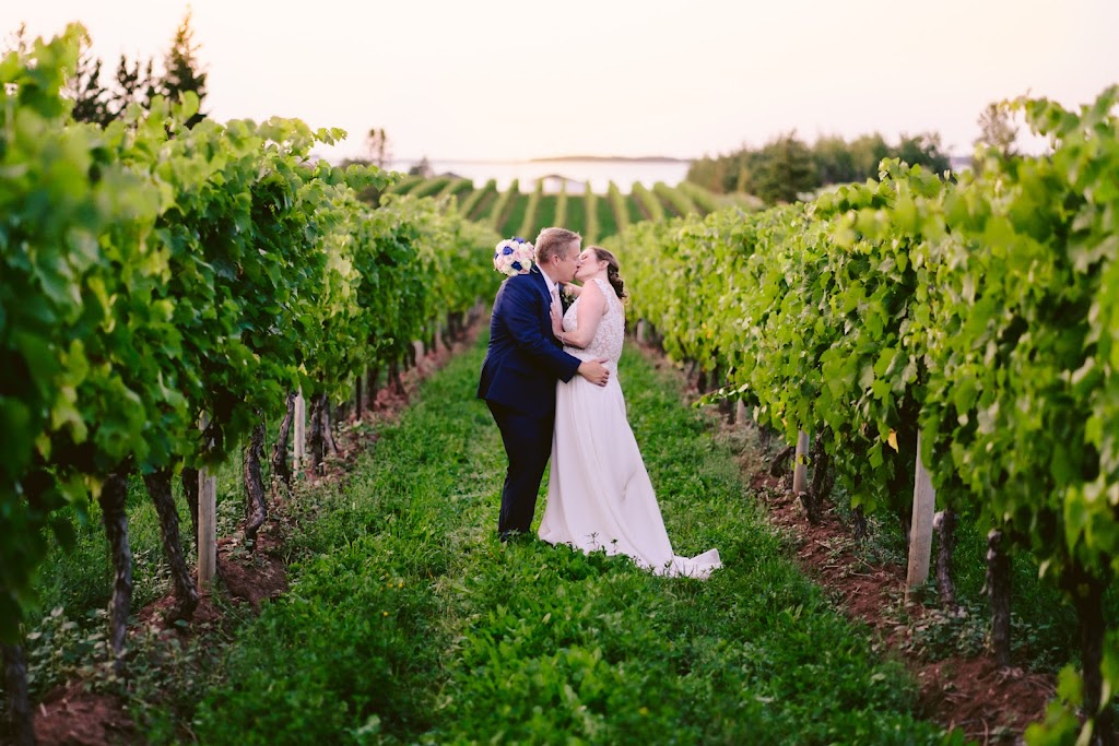 Beach Glass Photography | 83 Charlotte St, Sackville, NB E4L 2Y6, Canada | Phone: (902) 953-1118