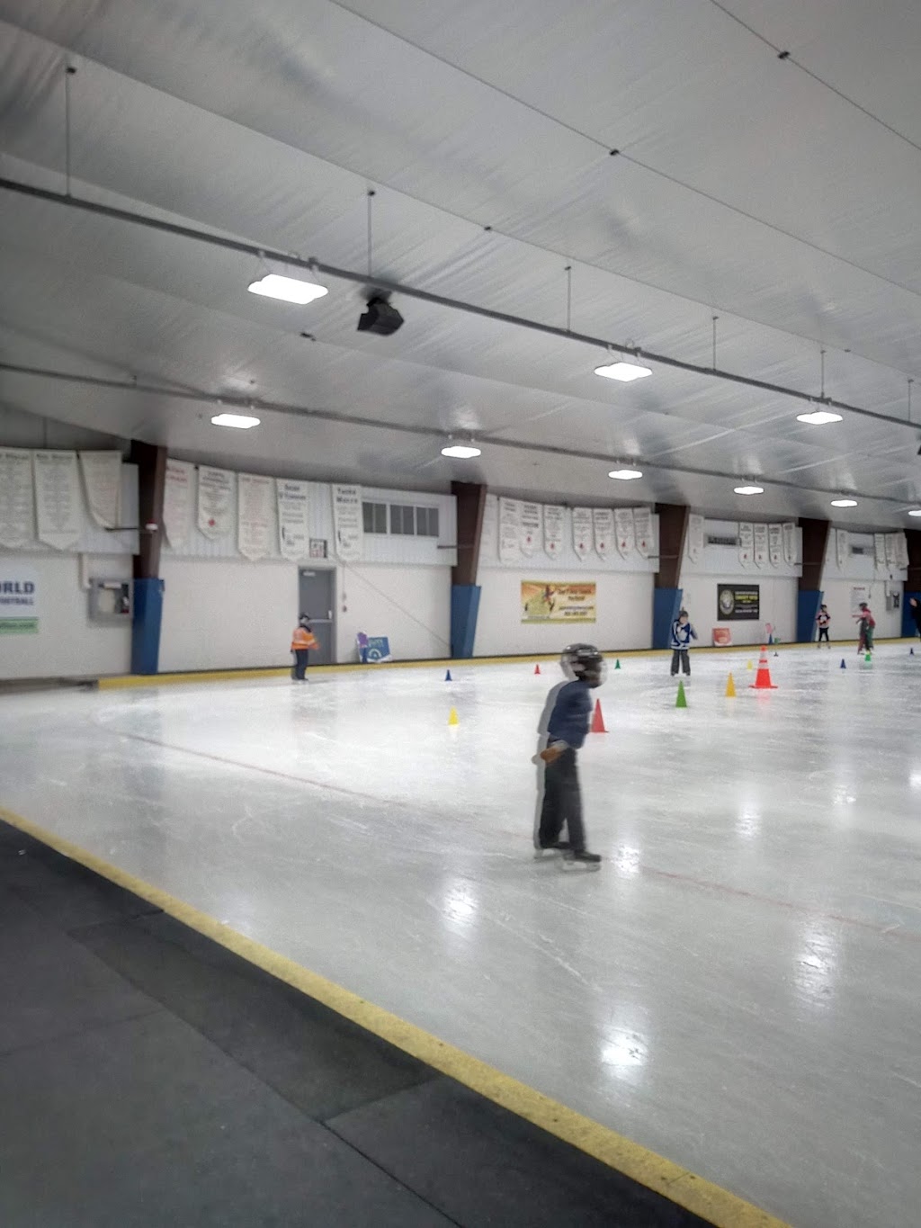 Hamilton Skating Club | 25 Hester St, Hamilton, ON L9A 2N3, Canada | Phone: (905) 388-9050
