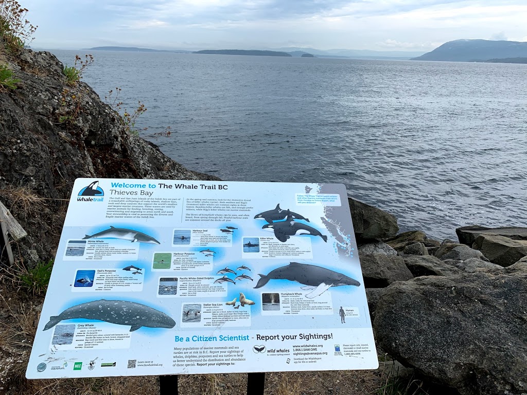 Thieves Bay Marina | Anchor Way, Pender Island, BC V0N 2M2, Canada | Phone: (250) 629-3686