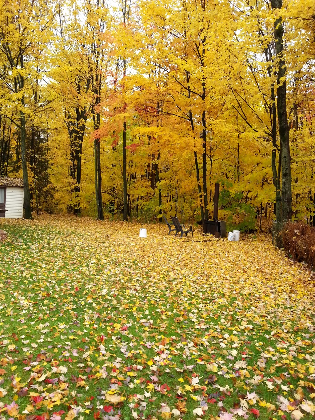 Domaine Laurentien | Rue des Malards, Sainte-Anne-des-Lacs, QC J0R 1B0, Canada