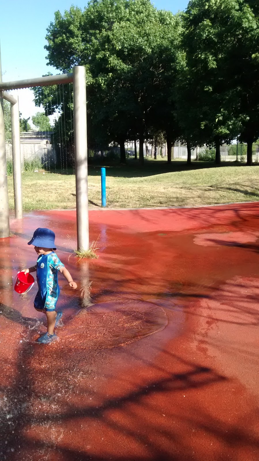 Sentinel Park | 295 Sentinel Rd, Toronto, ON M3J 0H4, Canada | Phone: (416) 338-4386