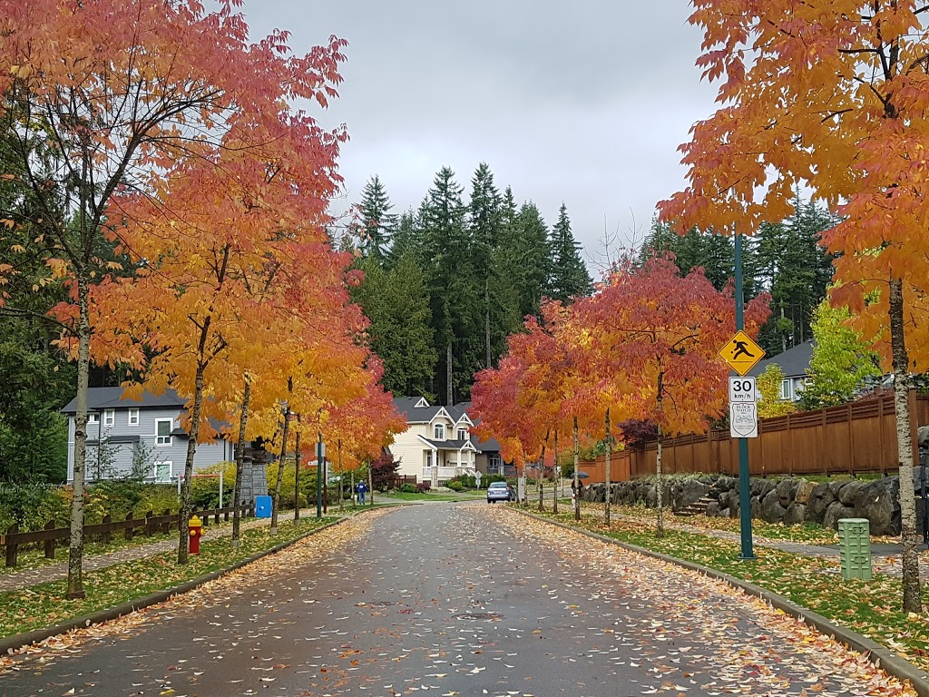 Marguerite Park | 1480 Marguerite St, Coquitlam, BC V3E 0A7, Canada | Phone: (604) 927-3000