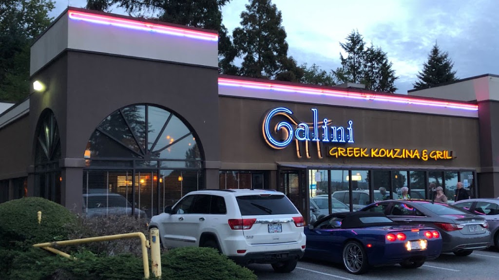 Galini Greek Kouzina & Grill | 19475 Fraser Hwy #101, Surrey, BC V3S 6K7, Canada | Phone: (604) 530-2881