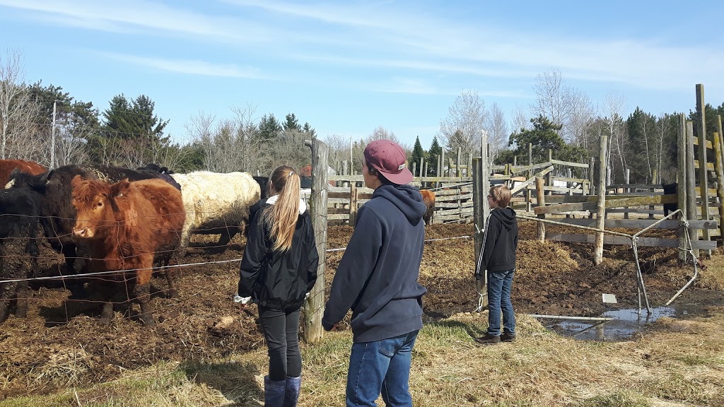 Ferme Le Crépuscule - Yamachiche - poulet - cabane a sucre | 1321 Chemin de la Grande Rivière N, Yamachiche, QC G0X 3L0, Canada | Phone: (819) 296-1321