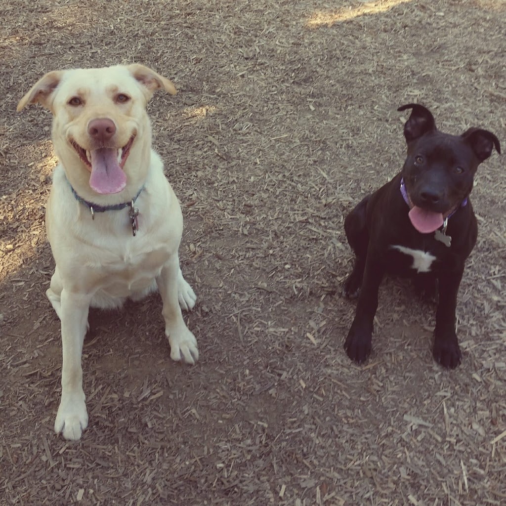 Petsafe Kingdom Dog Park | 299 T-34, Derby, VT 05829, USA