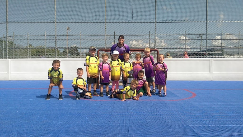 Ball Hockey International | 570 River Rd, Welland, ON L3B 5N6, Canada | Phone: (905) 735-4145