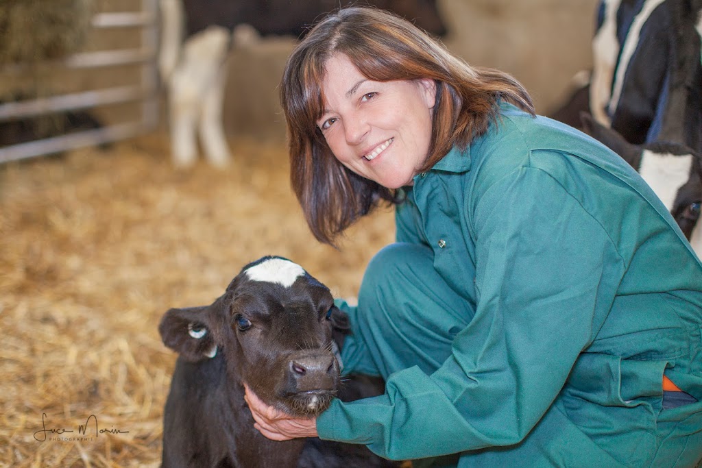 Ferme Courlin Inc. | 36 Rang Petit-Shenley, Saint-Éphrem-de-Beauce, QC G0M 1R0, Canada | Phone: (418) 484-2041