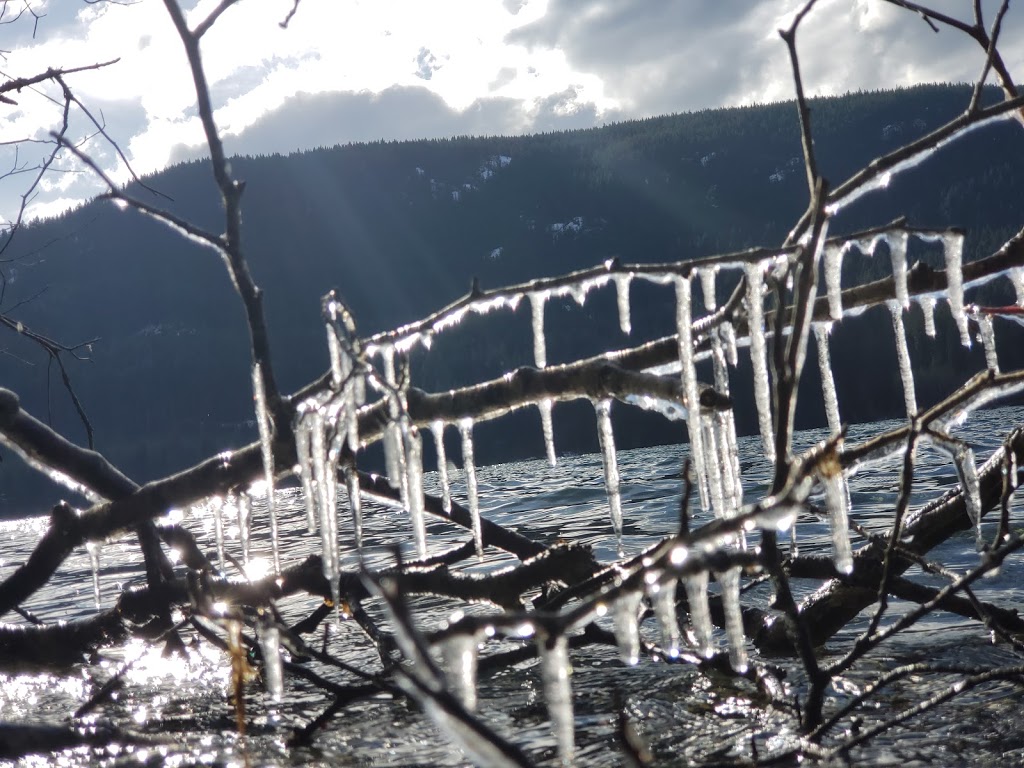 Price Park | Youbou Rd, Youbou, BC V0R 3E1, Canada | Phone: (250) 746-2620