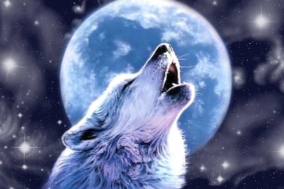 Island Psychic Tamare White-Wolf | 1280 Scotchtown Rd, Nanaimo, BC V9X 1S1, Canada | Phone: (250) 591-1177