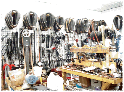 TNT Harness & Tack | 38118 Rd 64W, Holland, MB R0G 0X0, Canada | Phone: (204) 526-2549